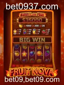 Descubra o Mundo Envolvente de FruitNova